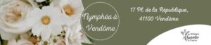 nymphea